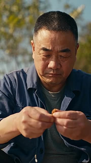 遇见川渝暴龙,享受甜宠人生(1-300集) 遇见川渝暴龙,享受甜宠人生(1-300集)短剧天花板