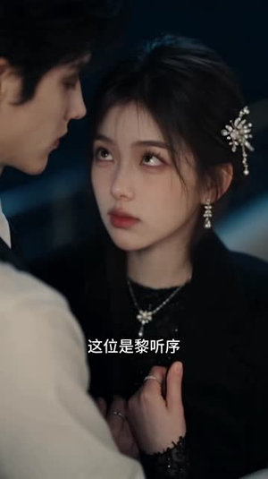 京时明昼(213集) 京时明昼(213集)离婚短剧